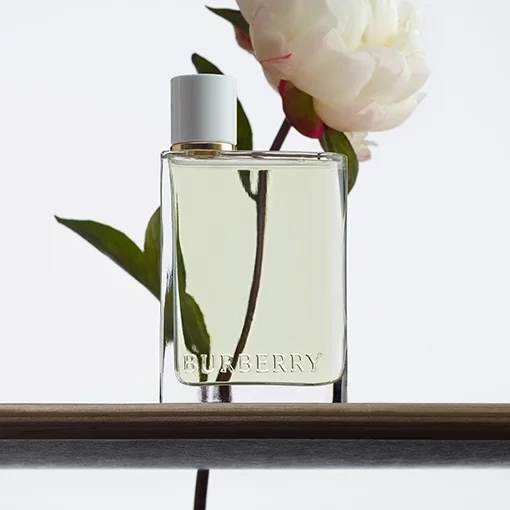 استعراض عطر بربري هير أو دو تواليت