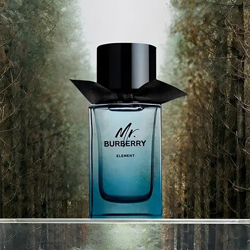 استعراض عطر بربري مستر بربري إيليمنت أو دو تواليت