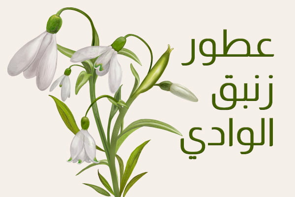 عطور من زنبق الوادي عطور من زنبق الوادي
