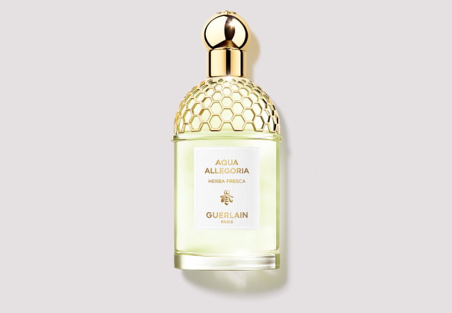عطر جيرلان أكوا أليغوريا هيربا فريسكا أو دو تواليت عطر جيرلان أكوا أليغوريا هيربا فريسكا أو دو تواليت