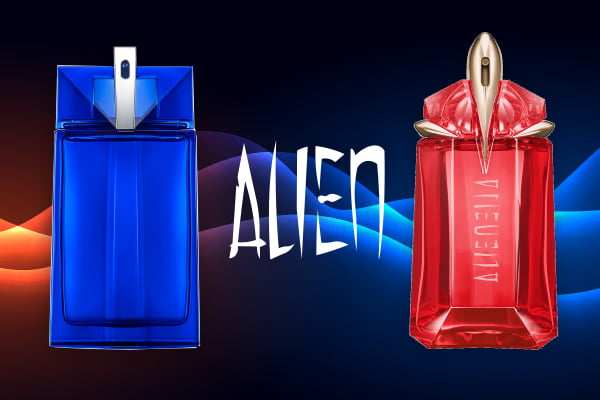 استعراض عطرا موغلر ألين فيوجن استعراض عطرا موغلر ألين فيوجن