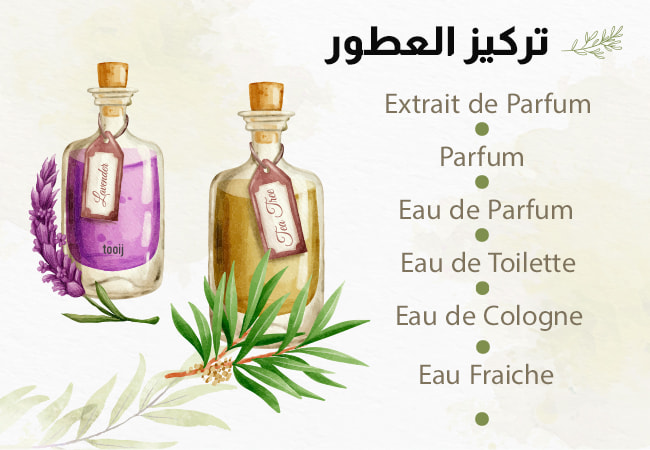 دليل تركيز العطور