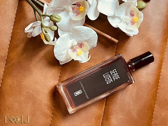 استعراض عطر سيرج لوتنس لا دومبتيوس إنكاجي استعراض عطر سيرج لوتنس لا دومبتيوس إنكاجي