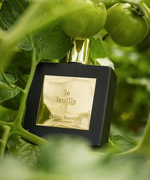 عطر ميلر هاريس لا فوي أو دو بارفيوم عطر ميلر هاريس لا فوي أو دو بارفيوم