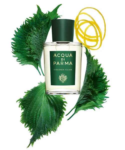عطر أكوا دي بارما كولونيا كلوب عطر أكوا دي بارما كولونيا كلوب