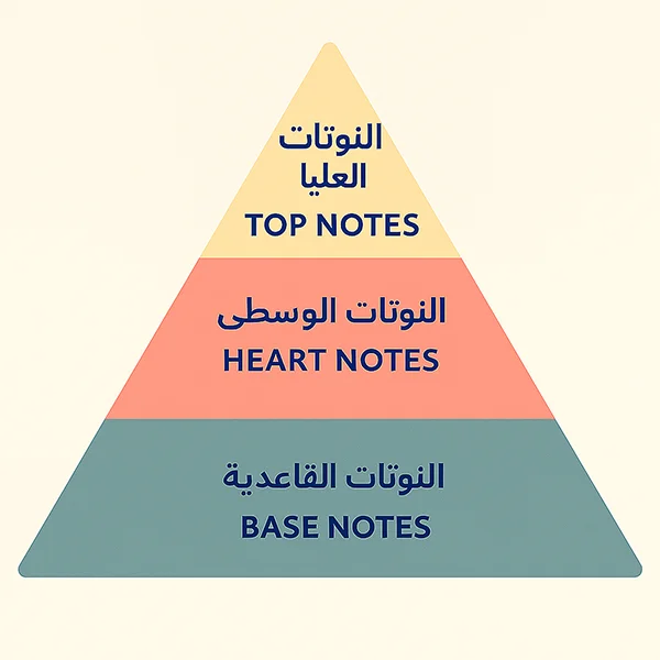هرم النوتات العطرية وتأثير التطاير على ثبات العطر