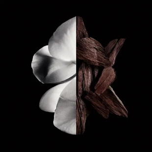 عطر جيفنشي جنتلمان بايوسي