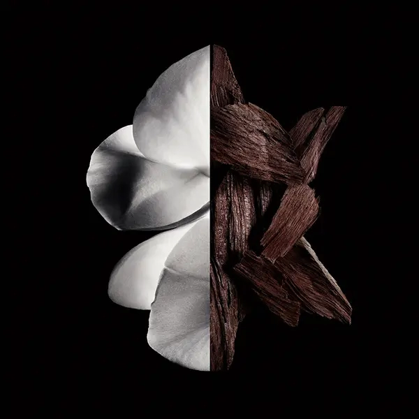 مكونات عطر جيفنشي جنتلمان بايوسي بارفيوم رجالي