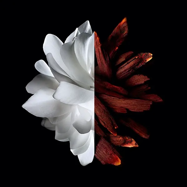 مكونات عطر جيفنشي لينترديت روج بارفيوم النسائي