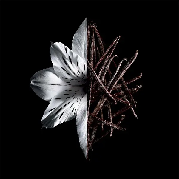 مكونات عطر جيفنشي لينترديت إنتنس بارفيوم النسائي