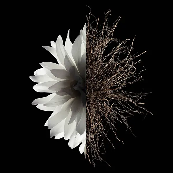 مكونات عطر جيفنشي لينترديت بارفيوم النسائي