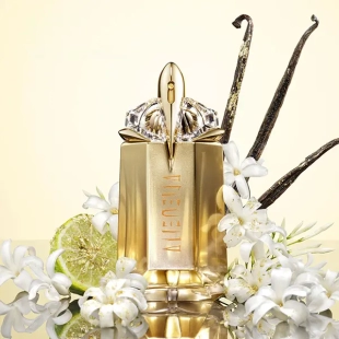 عطر تيري موغلر إلين جودس