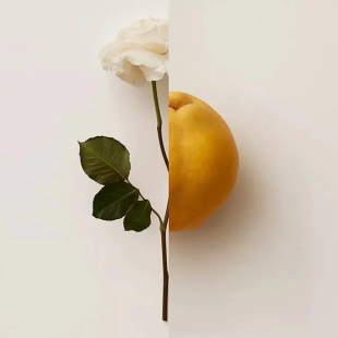 عطر بربري ماي بربري