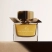 عطر بربري ماي بربري