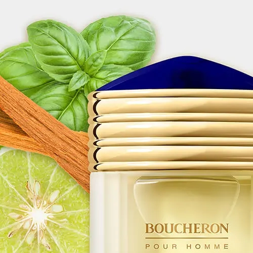 مكونات عطر بوشرون بور أوم بارفيوم رجالي