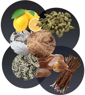 عطر لاليك هومج إي لي أوم فوياجير