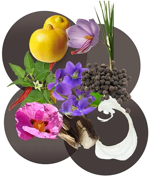 مكونات عطر لاليك هومج إي لي أوم الرجالي