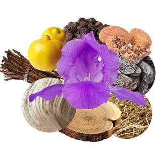 عطر لاليك ليفنج لاليك