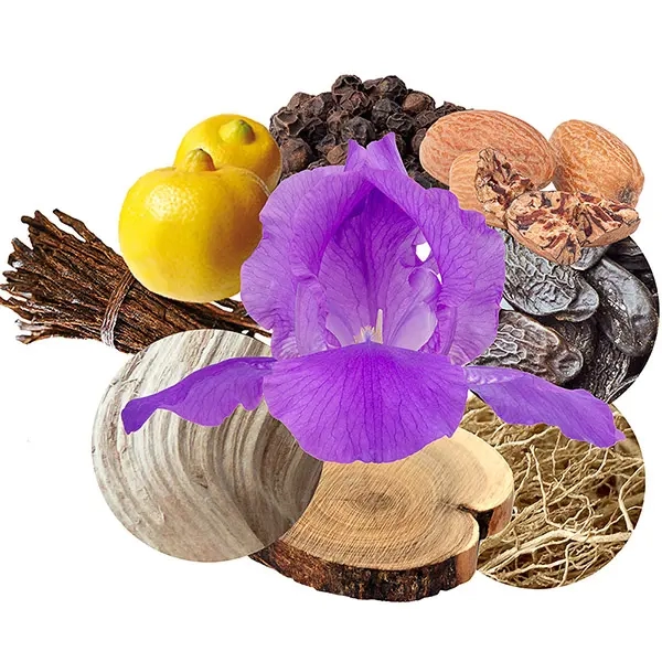 مكونات عطر لاليك ليفنج لاليك بارفيوم النسائي