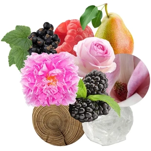 عطر لاليك إيمثست إيكلات