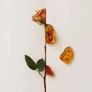 عطر بربري ماي بربري بلاك