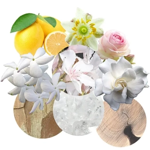 عطر لاليك لامور