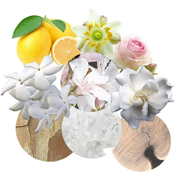 مكونات عطر لاليك لمور بارفيوم النسائي